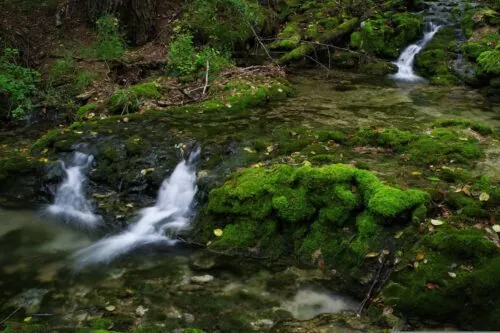 Arroyo de montaña - También aquí es necesario purificar el agua