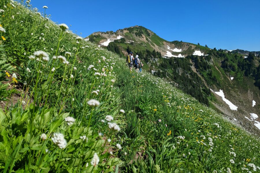 El silencio de la montaña